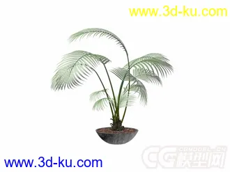3D打印模型盆景的图片