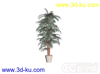 3D打印模型盆景的图片