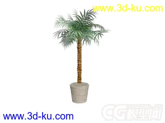3D打印模型盆景的图片