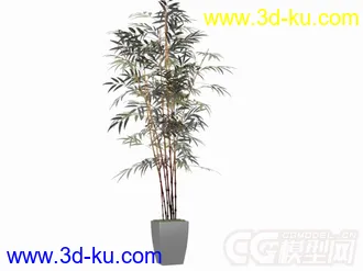 3D打印模型盆景植物的图片