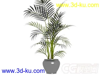 3D打印模型盆景植物的图片