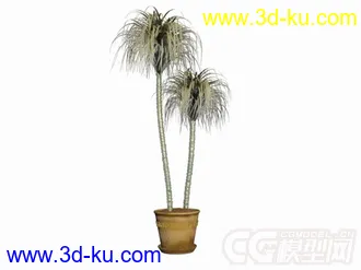 3D打印模型盆景植物的图片