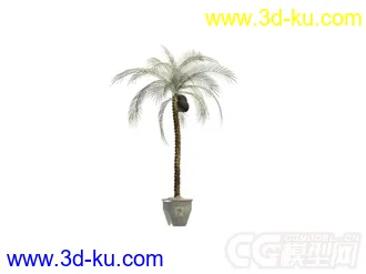 3D打印模型盆景植物的图片