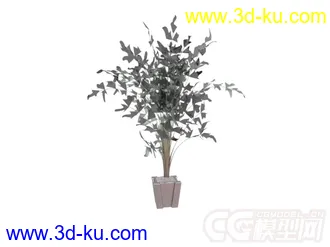 3D打印模型盆景植物的图片
