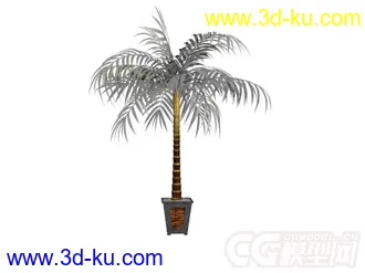 3D打印模型盆景植物的图片