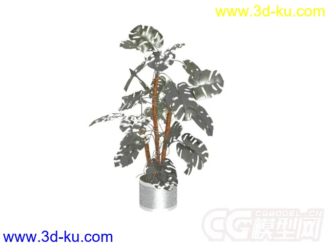 盆景植物6种模型的图片1