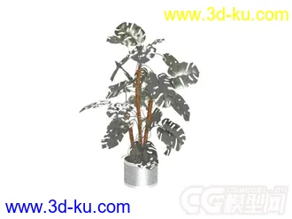 3D打印模型盆景植物6种的图片