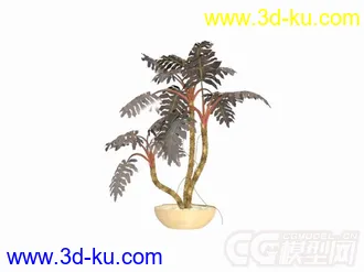 3D打印模型盆景植物6种的图片