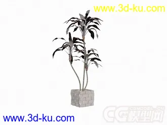 3D打印模型盆景植物6种的图片