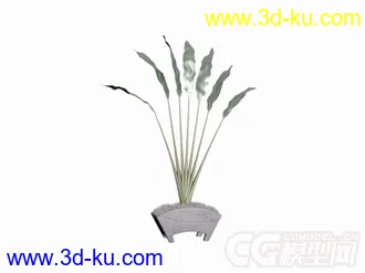 3D打印模型盆景植物6种的图片