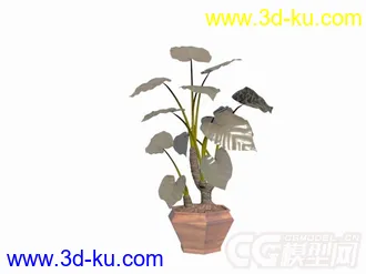 3D打印模型盆景植物6种的图片