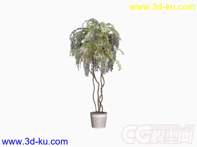 多种盆栽植物模型的图片1