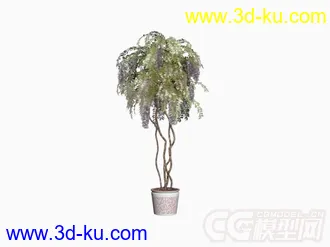 3D打印模型多种盆栽植物的图片