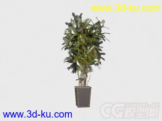 3D打印模型多种盆栽植物的图片