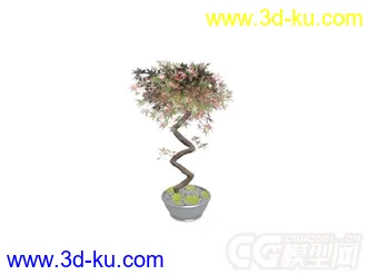 3D打印模型单个盆栽植物的图片