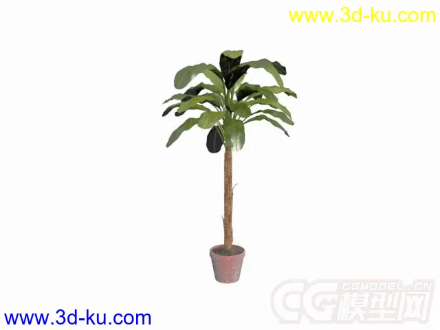 多种盆栽植物模型的图片1