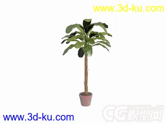 3D打印模型多种盆栽植物的图片