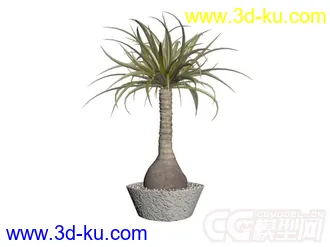 3D打印模型多种盆栽植物的图片