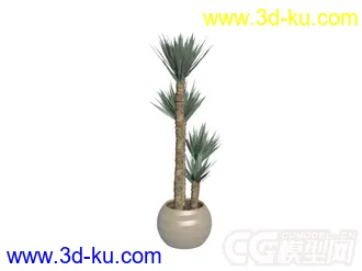 3D打印模型多种盆栽植物的图片