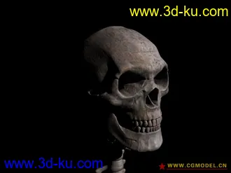 3D打印模型拿牱脑袋出来吓唬人的图片