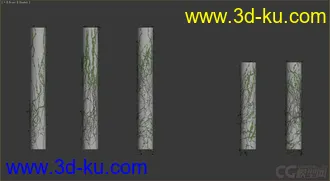 几个藤蔓模型的图片