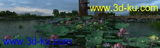 3D打印模型荷花场景的图片