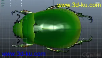 3D打印模型甲壳虫的图片