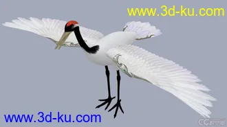 3D打印模型仙鹤的图片