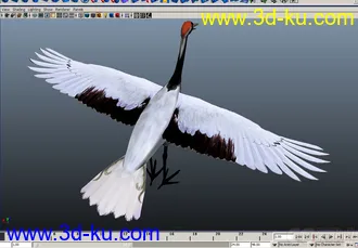 3D打印模型仙鹤的图片