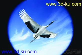 3D打印模型仙鹤的图片