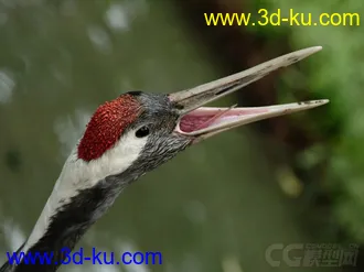 3D打印模型仙鹤的图片