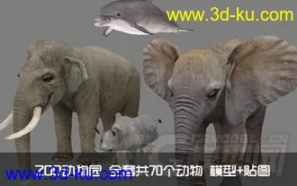 【ZOO动物园】全套共70个动物模型+贴图 企鹅 乌龟 狮子 鸵鸟 猩猩 骆驼 大象等的图片