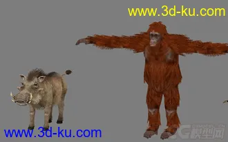 【ZOO动物园】全套共70个动物模型+贴图 企鹅 乌龟 狮子 鸵鸟 猩猩 骆驼 大象等的图片