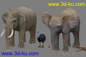 【ZOO动物园】全套共70个动物模型+贴图 企鹅 乌龟 狮子 鸵鸟 猩猩 骆驼 大象等的图片