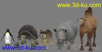 【ZOO动物园】全套共70个动物模型+贴图 企鹅 乌龟 狮子 鸵鸟 猩猩 骆驼 大象等的图片