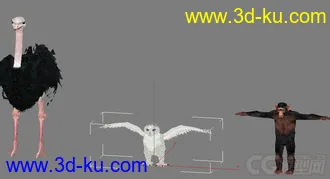 【ZOO动物园】全套共70个动物模型+贴图 企鹅 乌龟 狮子 鸵鸟 猩猩 骆驼 大象等的图片