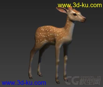 3D打印模型小鹿 梅花鹿的图片