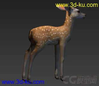3D打印模型小鹿 梅花鹿的图片