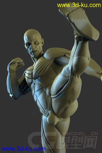 3D打印模型肌肉 人体 男性superAverageMan的图片