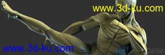 3D打印模型肌肉 人体 男性superAverageMan的图片