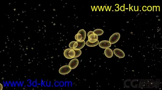 3D打印模型细胞 酵母的图片