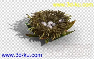 3D打印模型Q版 鸟 还有鸟巢的图片