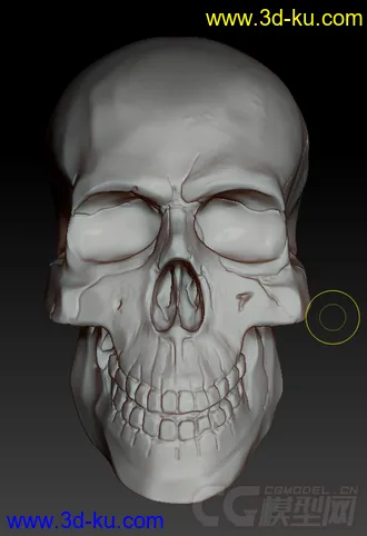 3D打印模型刚速写的骷髅，对头骨不是太熟悉，见谅的图片