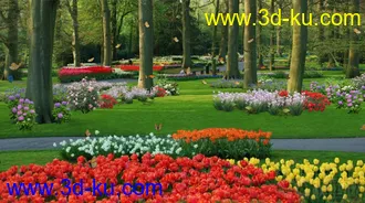 3D打印模型蝶の天堂的图片