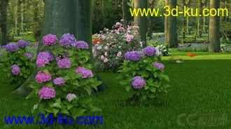 3D打印模型蝶の天堂的图片