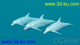 3D打印模型三只海豚的图片
