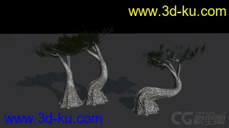 3D打印模型树的图片