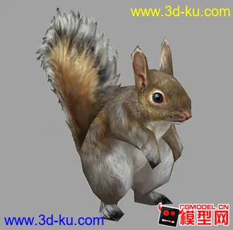 3D打印模型松鼠一只的图片