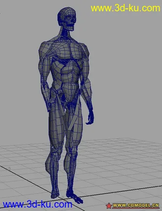 3D打印模型骨骼肌肉完整建模---菜鸟高手必备的图片