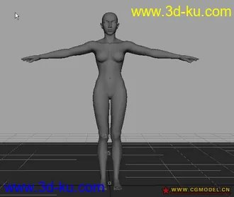 人体标准女模型---菜鸟高手必备的图片